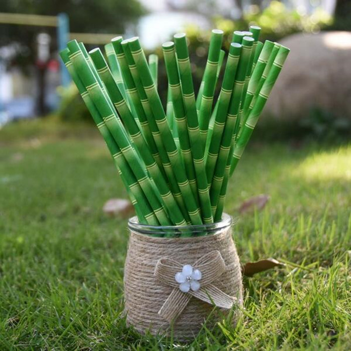 bambow paper straw 1
